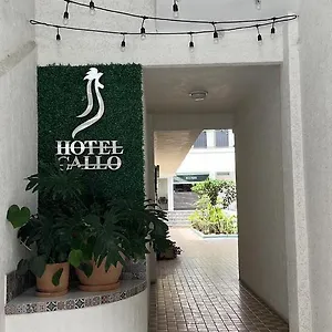 https://hotel-gallo-rubio.guadalajarahotels.info