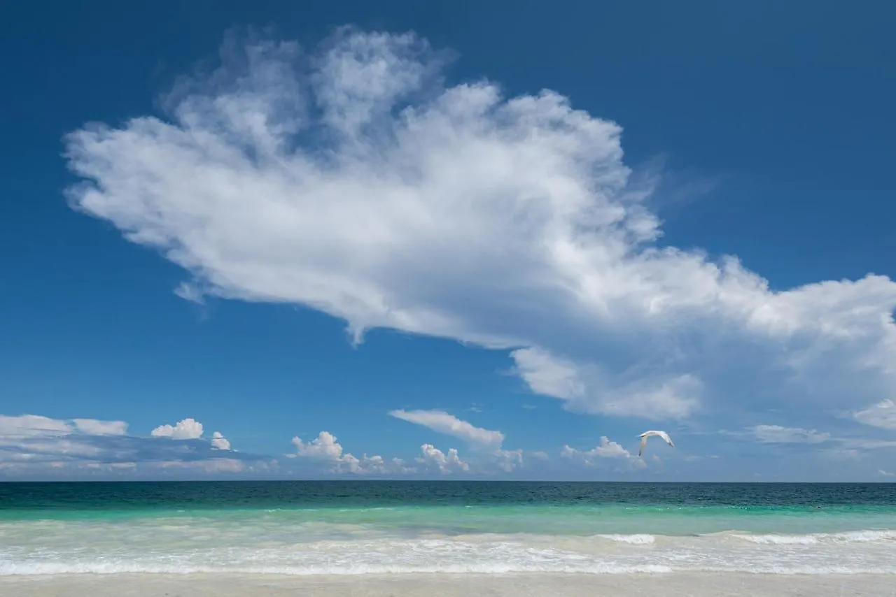 Casa Malca Hotel Tulum Pueblo